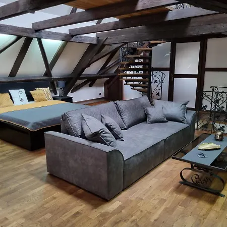 Galerie Vila Lucia 5 -Loft Apartman Plzen Exterior photo