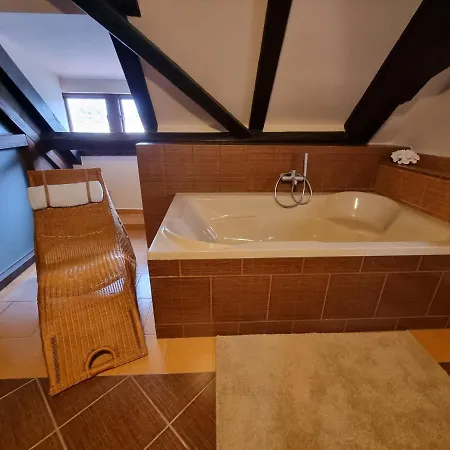 Galerie Vila Lucia 5 -Loft Apartman Plzen Exterior photo