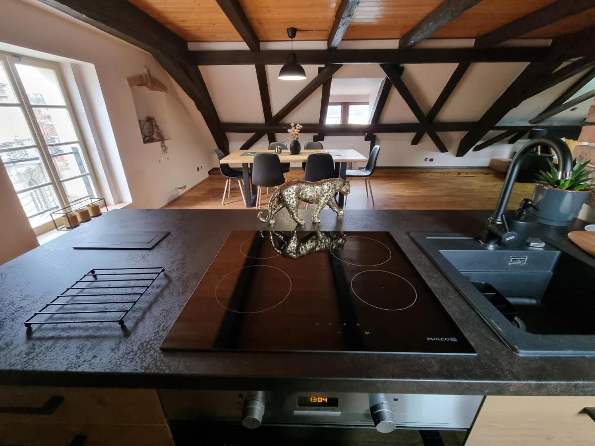 Galerie Lucia 5 -loft Apartment