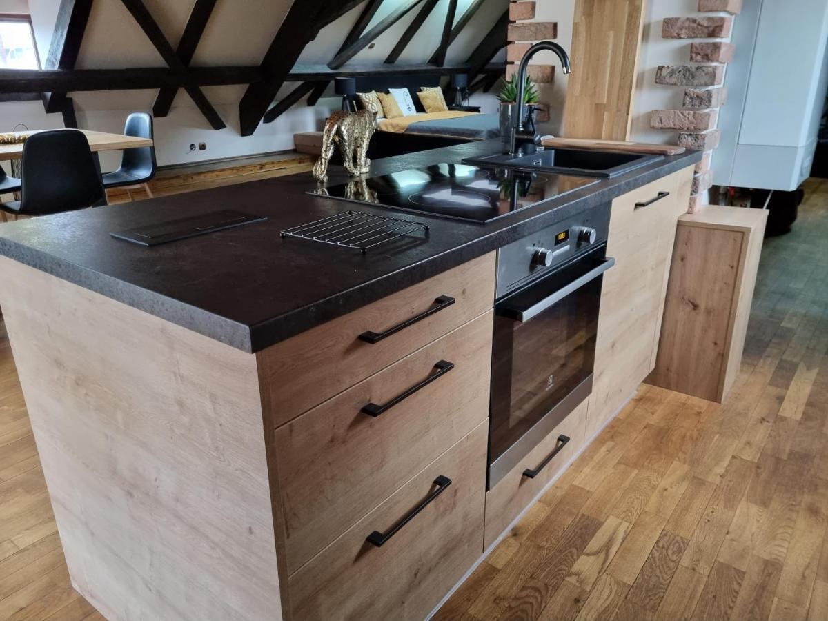 Apartment Galerie Lucia 5 -loft *