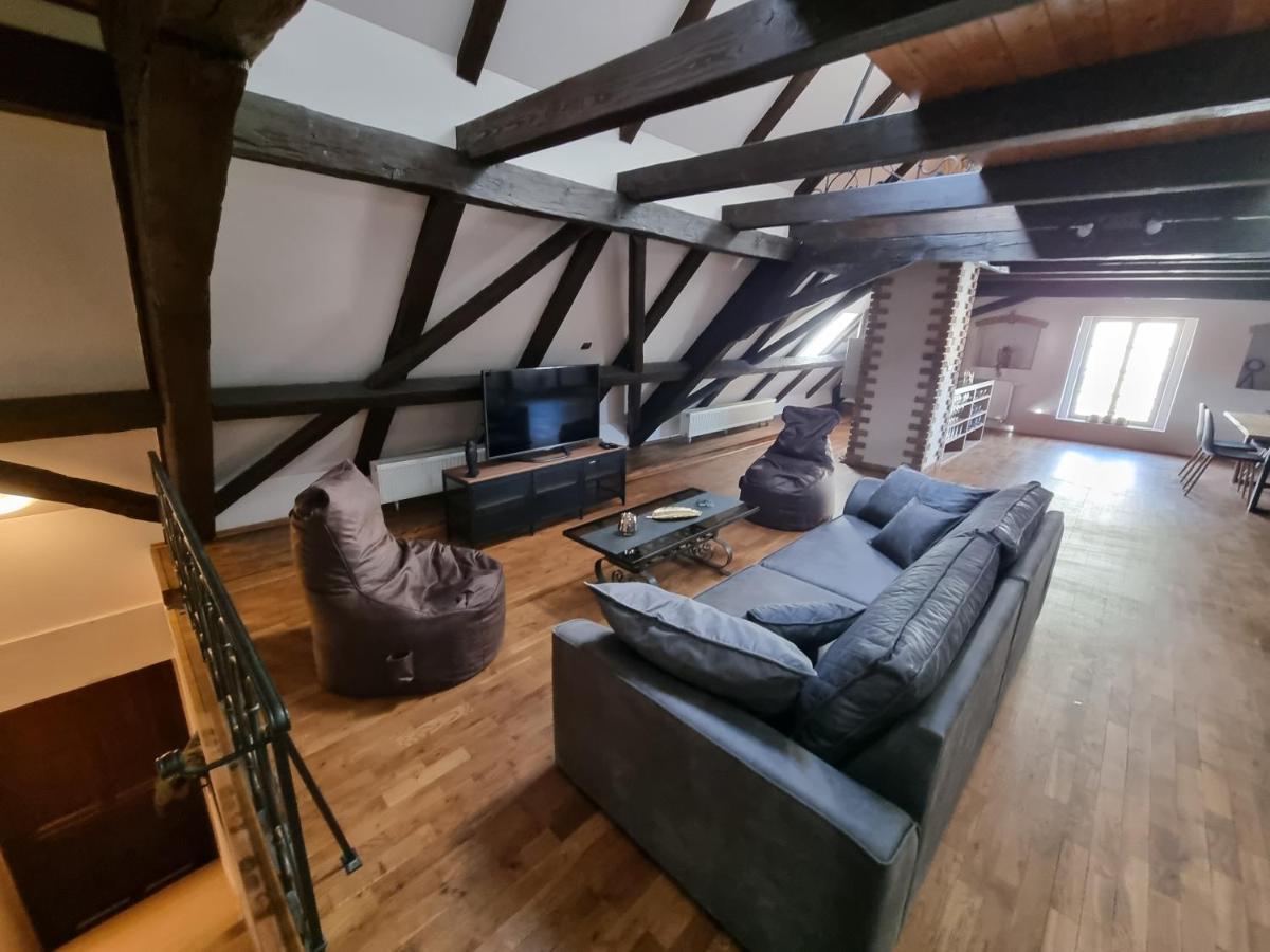 Apartment Galerie Lucia 5 -loft Plzen